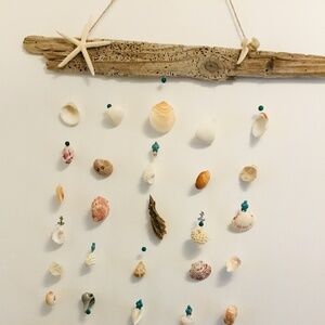 Large Seashell Wind-chimes Bahamas shoreline driftwood
